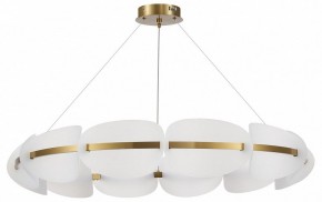 Подвесная люстра ST-Luce Etoile SL1304.203.65 в Ханты-Мансийске - hanty-mansiysk.mebel24.online | фото 3