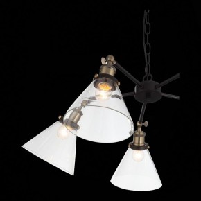 Подвесная люстра ST-Luce Evoluto SL237.413.05 в Ханты-Мансийске - hanty-mansiysk.mebel24.online | фото 7