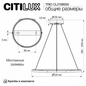 Подвесной светильник Citilux Trio CL215B050 в Ханты-Мансийске - hanty-mansiysk.mebel24.online | фото 9