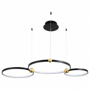 Подвесной светильник Divinare Amadeo 1123/04 SP-75 в Ханты-Мансийске - hanty-mansiysk.mebel24.online | фото