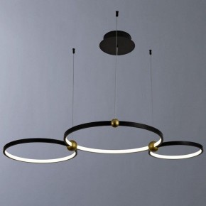 Подвесной светильник Divinare Amadeo 1123/04 SP-75 в Ханты-Мансийске - hanty-mansiysk.mebel24.online | фото 2