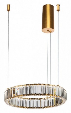 Подвесной светильник Divinare Renata 1135/17 SP-25 в Ханты-Мансийске - hanty-mansiysk.mebel24.online | фото 2