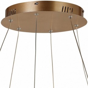 Подвесной светильник Favourite Hexagon 2103-14P в Ханты-Мансийске - hanty-mansiysk.mebel24.online | фото 5