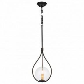 Подвесной светильник Favourite Kessel 1905-1P в Ханты-Мансийске - hanty-mansiysk.mebel24.online | фото 2