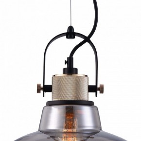 Подвесной светильник Maytoni Irving T163PL-01C в Ханты-Мансийске - hanty-mansiysk.mebel24.online | фото 9