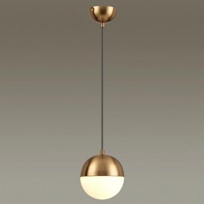 Подвесной светильник Odeon Light Pinga 4960/1 в Ханты-Мансийске - hanty-mansiysk.mebel24.online | фото 2