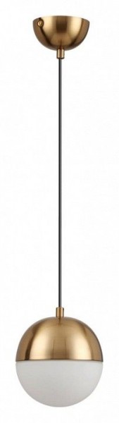 Подвесной светильник Odeon Light Pinga 4960/1 в Ханты-Мансийске - hanty-mansiysk.mebel24.online | фото 3