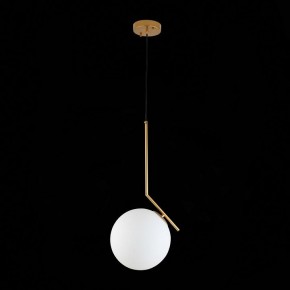 Подвесной светильник ST-Luce Codda SL1148.303.01 в Ханты-Мансийске - hanty-mansiysk.mebel24.online | фото 6