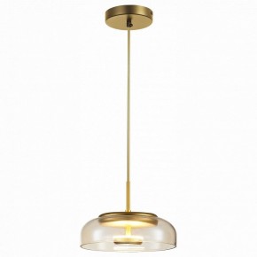 Подвесной светильник ST-Luce Lacio SL6002.203.01 в Ханты-Мансийске - hanty-mansiysk.mebel24.online | фото