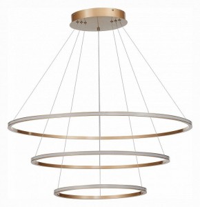 Подвесной светильник ST-Luce ST604 OUT ST604.243.114 в Ханты-Мансийске - hanty-mansiysk.mebel24.online | фото 2
