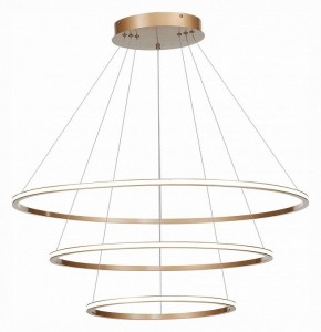 Подвесной светильник ST-Luce ST604 OUT ST604.243.114 в Ханты-Мансийске - hanty-mansiysk.mebel24.online | фото 3