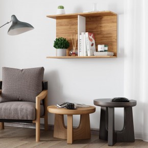 Полка Ион-3 (крафт/белый) в Ханты-Мансийске - hanty-mansiysk.mebel24.online | фото 3