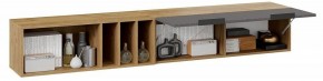 Полка комбинированная Хилтон в Ханты-Мансийске - hanty-mansiysk.mebel24.online | фото 6