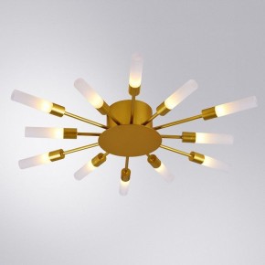Потолочная люстра Arte Lamp Maple A1276PL-12GO в Ханты-Мансийске - hanty-mansiysk.mebel24.online | фото 1