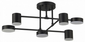 Потолочная люстра EVOLUCE Nobel SLE201042-06 в Ханты-Мансийске - hanty-mansiysk.mebel24.online | фото 11