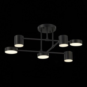 Потолочная люстра EVOLUCE Nobel SLE201042-06 в Ханты-Мансийске - hanty-mansiysk.mebel24.online | фото 13