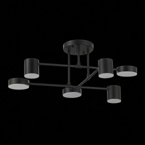 Потолочная люстра EVOLUCE Nobel SLE201042-06 в Ханты-Мансийске - hanty-mansiysk.mebel24.online | фото 14