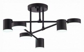 Потолочная люстра EVOLUCE Nobel SLE201042-06 в Ханты-Мансийске - hanty-mansiysk.mebel24.online | фото 5