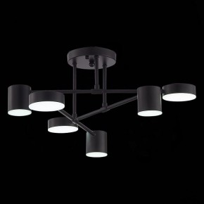 Потолочная люстра EVOLUCE Nobel SLE201042-06 в Ханты-Мансийске - hanty-mansiysk.mebel24.online | фото 9