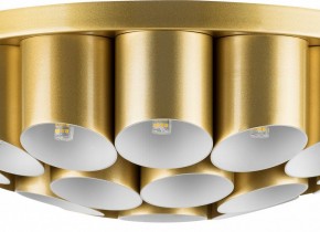 Потолочная люстра Lightstar Siena 720222 в Ханты-Мансийске - hanty-mansiysk.mebel24.online | фото 3