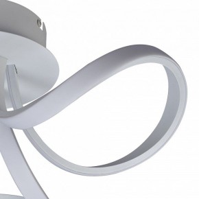 Потолочная люстра Mantra Knot Led 6036 в Ханты-Мансийске - hanty-mansiysk.mebel24.online | фото 3