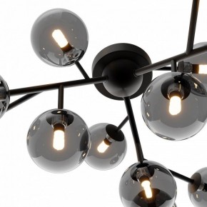 Потолочная люстра Maytoni Dallas MOD545CL-12B в Ханты-Мансийске - hanty-mansiysk.mebel24.online | фото 3