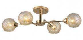 Потолочная люстра Rivoli Amalia Б0050815 в Ханты-Мансийске - hanty-mansiysk.mebel24.online | фото 3