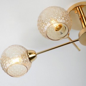 Потолочная люстра Rivoli Amalia Б0050815 в Ханты-Мансийске - hanty-mansiysk.mebel24.online | фото 8