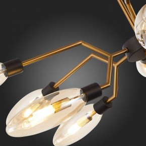 Потолочная люстра ST-Luce Desima SL1174.303.12 в Ханты-Мансийске - hanty-mansiysk.mebel24.online | фото 10