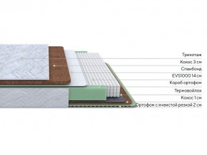 PROxSON Матрас Green Duo M/F (Tricotage Dream) 120x190 в Ханты-Мансийске - hanty-mansiysk.mebel24.online | фото 2