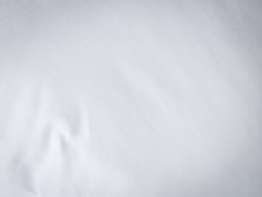 PROxSON Подушка Terra Duo (Сатин Ткань) 50x70 в Ханты-Мансийске - hanty-mansiysk.mebel24.online | фото 9