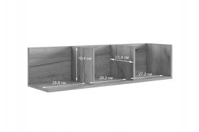 РИЧ Полка навесная 2 в Ханты-Мансийске - hanty-mansiysk.mebel24.online | фото 3