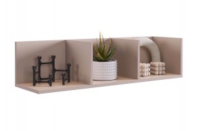 РИЧ Полка навесная 2 в Ханты-Мансийске - hanty-mansiysk.mebel24.online | фото 7