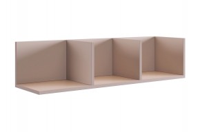 РИЧ Полка навесная 2 (кашемир) в Ханты-Мансийске - hanty-mansiysk.mebel24.online | фото 1