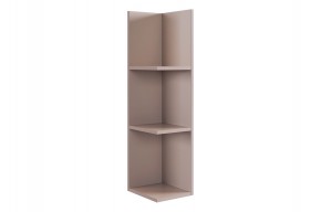 РИЧ Полка навесная 2 (кашемир) в Ханты-Мансийске - hanty-mansiysk.mebel24.online | фото 4