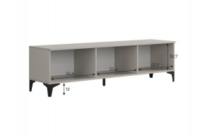 РИЧ Тумба 2 в Ханты-Мансийске - hanty-mansiysk.mebel24.online | фото 3