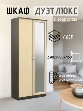Шкаф 2-х створчатый Дуэт Люкс с зеркалом в Ханты-Мансийске - hanty-mansiysk.mebel24.online | фото 1