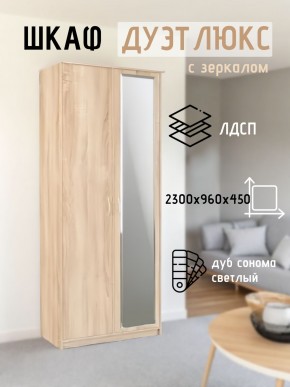 Шкаф 2-х створчатый Дуэт Люкс с зеркалом в Ханты-Мансийске - hanty-mansiysk.mebel24.online | фото 7