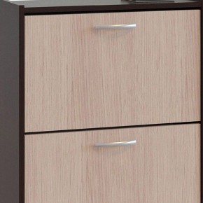 Шкаф для обуви ТО-24 в Ханты-Мансийске - hanty-mansiysk.mebel24.online | фото 4