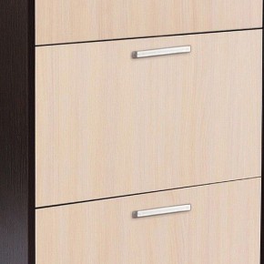Шкаф для обуви УК-4 в Ханты-Мансийске - hanty-mansiysk.mebel24.online | фото 2