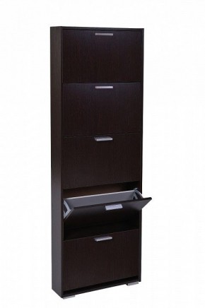 Шкаф для обуви УК-5 10000130 в Ханты-Мансийске - hanty-mansiysk.mebel24.online | фото