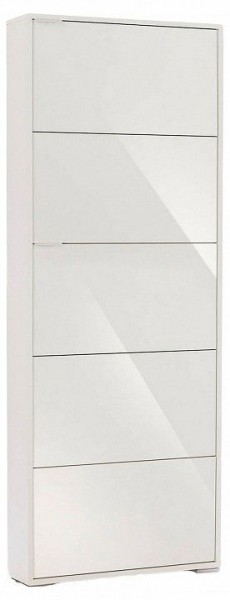 Шкаф для обуви Viva-5S в Ханты-Мансийске - hanty-mansiysk.mebel24.online | фото