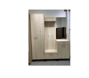 Шкаф для одежды 2-х дверный София 1 в Ханты-Мансийске - hanty-mansiysk.mebel24.online | фото 6