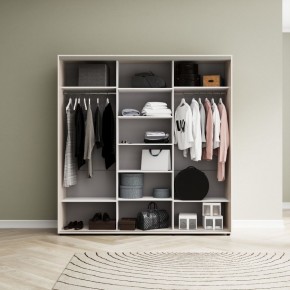 Шкаф-купе Акцент-Лайт ДЗ 1800-600 в Ханты-Мансийске - hanty-mansiysk.mebel24.online | фото 4