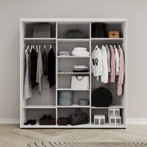 Шкаф-купе Акцент-Лайт ДЗ 1800-600 в Ханты-Мансийске - hanty-mansiysk.mebel24.online | фото 6