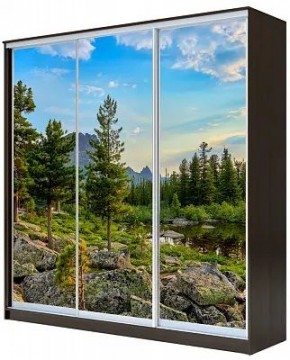 Шкаф-купе ХИТ 22-18/2-777 ПРИРОДА в Ханты-Мансийске - hanty-mansiysk.mebel24.online | фото