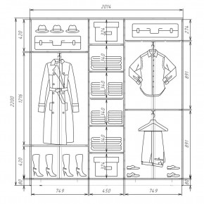 Шкаф-купе ХИТ 22-4-20-555 (420) в Ханты-Мансийске - hanty-mansiysk.mebel24.online | фото 2