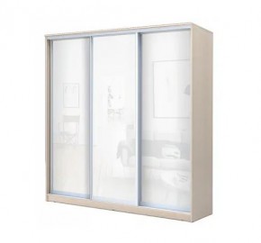 Шкаф-купе ХИТ 22-4-20-888 (420) в Ханты-Мансийске - hanty-mansiysk.mebel24.online | фото 4