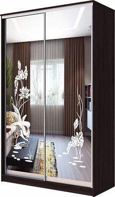 Шкаф-купе ХИТ 23-4-12-66 ЦАПЛИ в Ханты-Мансийске - hanty-mansiysk.mebel24.online | фото