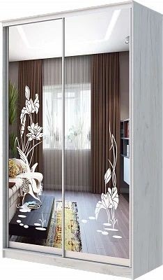 Шкаф-купе ХИТ 24-14-66 ЦАПЛИ в Ханты-Мансийске - hanty-mansiysk.mebel24.online | фото